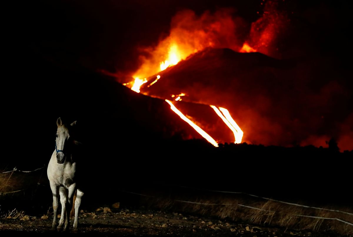 A horse is photographed in Tacande while the Cumbre Vieja volcano continues to erupt. Credit: Reuters Photo