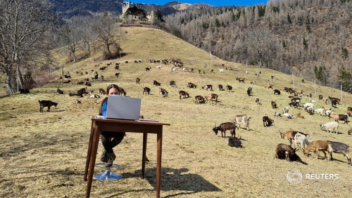 10-year-old Fiammetta attends her online lessons surrounded by her shepherd father's herd of goats in the mountains, while schools are closed due to coronavirus restrictions, in Caldes, northern Italy, March 20. Martina Valentini - Val di Sole press office/ Handout via Reuters