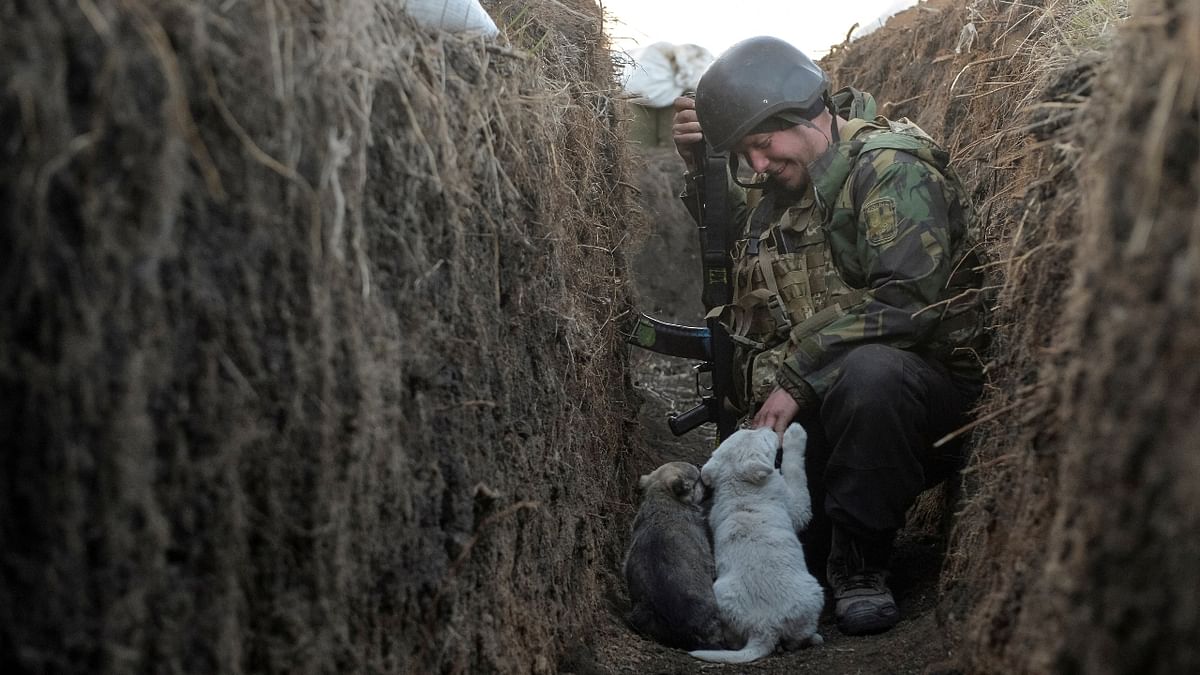 Volodymyr, a member of the Ukrainian armed forces, plays with puppies in a trench on the line of separation from pro-Russian rebels in Donetsk region, Ukraine. Credit: Reuters Photo