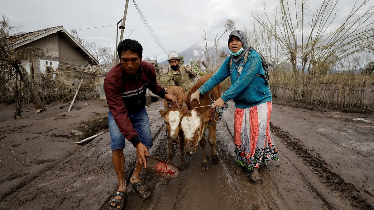 Some locals lifted mattresses and furniture on their shoulders while others carried goats in their arms. Credit: Reuters Photo