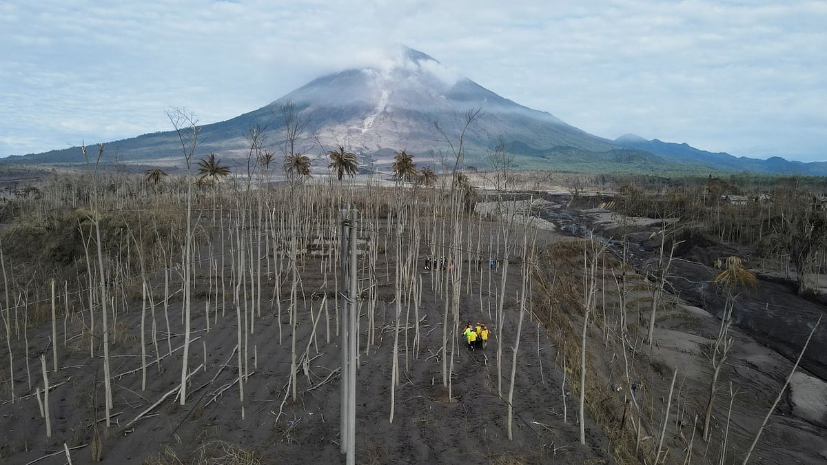 In Pics: Indonesia's Mount Semeru erupts again, cripples rescue operations