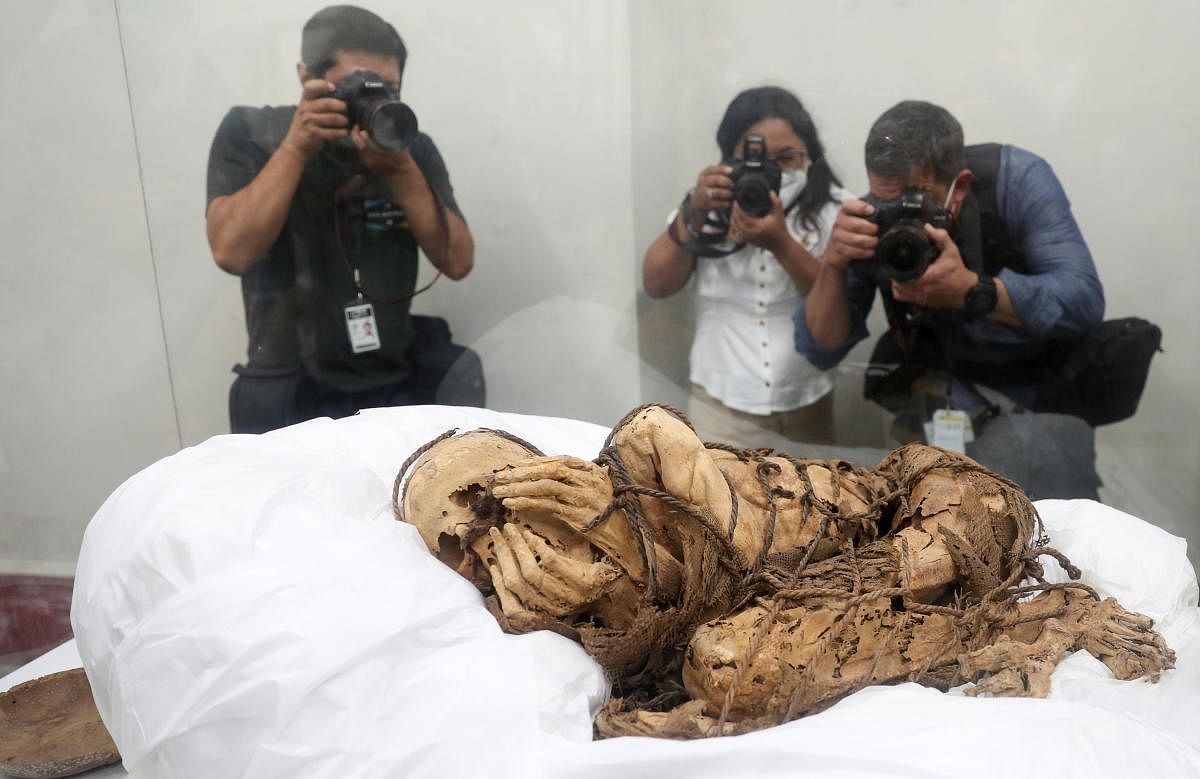 The pre-Inca Mummy of Cajamarquilla, presumed to be between 800 and 1200 years old, is exhibited at the Universidad Mayor de San Marcos, in Lima, Peru. Credit: Reuters Photo