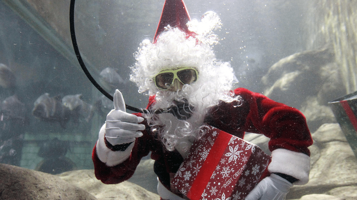 A man disguised as Santa Claus performs inside a fish tank at the Guadalajara Zoo aquarium just days before the Christmas holidays in Guadalajara, Mexico. Credit: AFP Photo