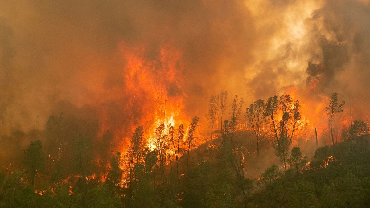 Carbon dioxide emissions at record levels: Massive wildfires in Siberia, North America and around the Mediterranean caused record levels of CO2 emissions in July and August, the EU's Earth monitoring service said. Credit: Reuters Photo
