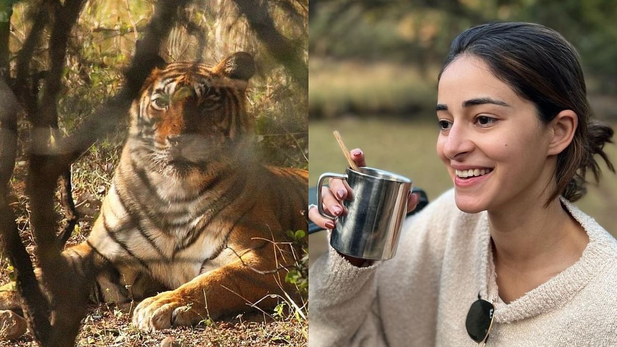 Bollywood actor Ananya Panday welcomed 2022 being close to nature at Ranthambhore National Park in Rajasthan. Credit: Instagram/ananyapanday