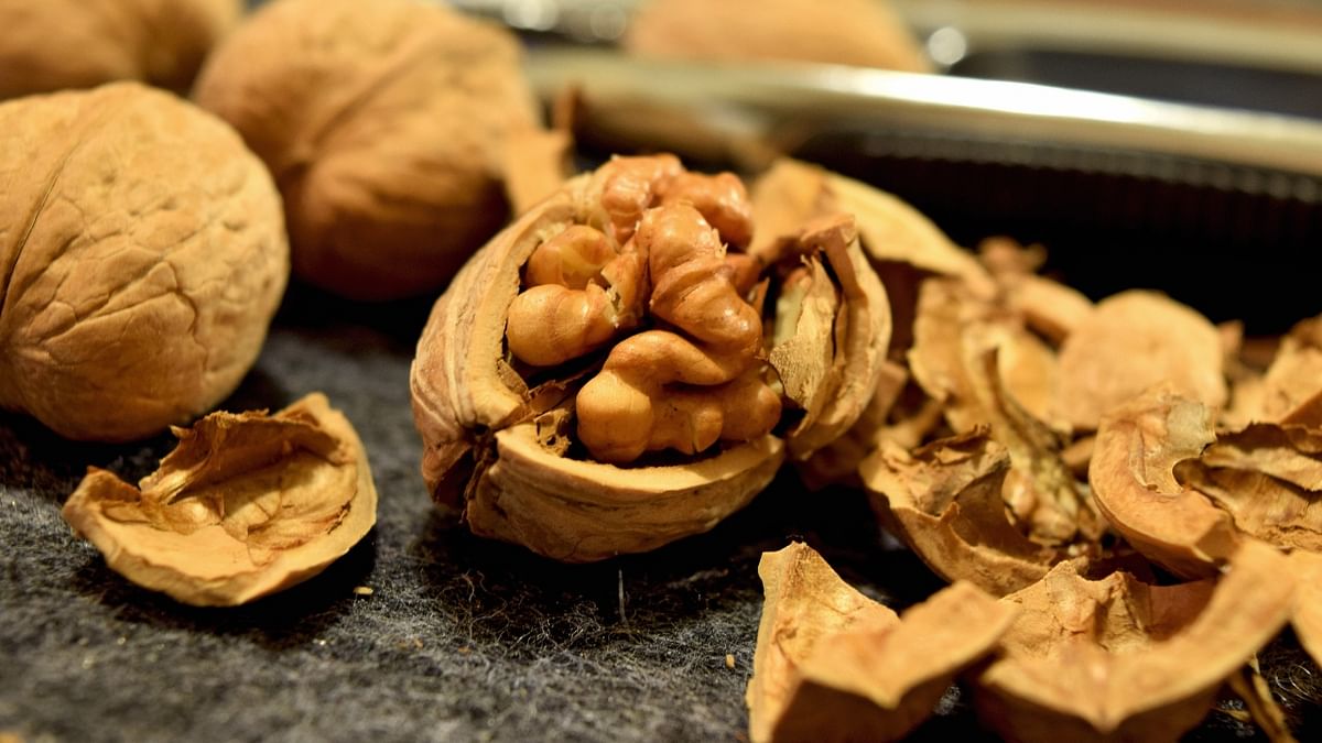 Walnut: Full of antioxidants, Walnut is a great source of omega 3 and helps in slowing down inflammation This superfood lowers the risk of heart diseases and helps in controlling weight control. Credit: DH Pool Photo