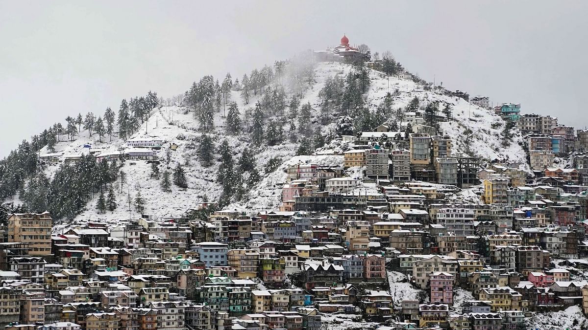 The snow-covered Sanjauli area after fresh snowfall in Shimla. Credit: PTI Photo