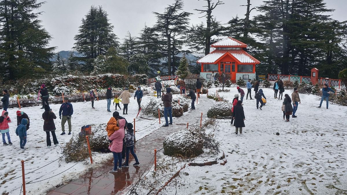 This fresh spell of snowfall made tourists and hoteliers happy. Credit: PTI Photo