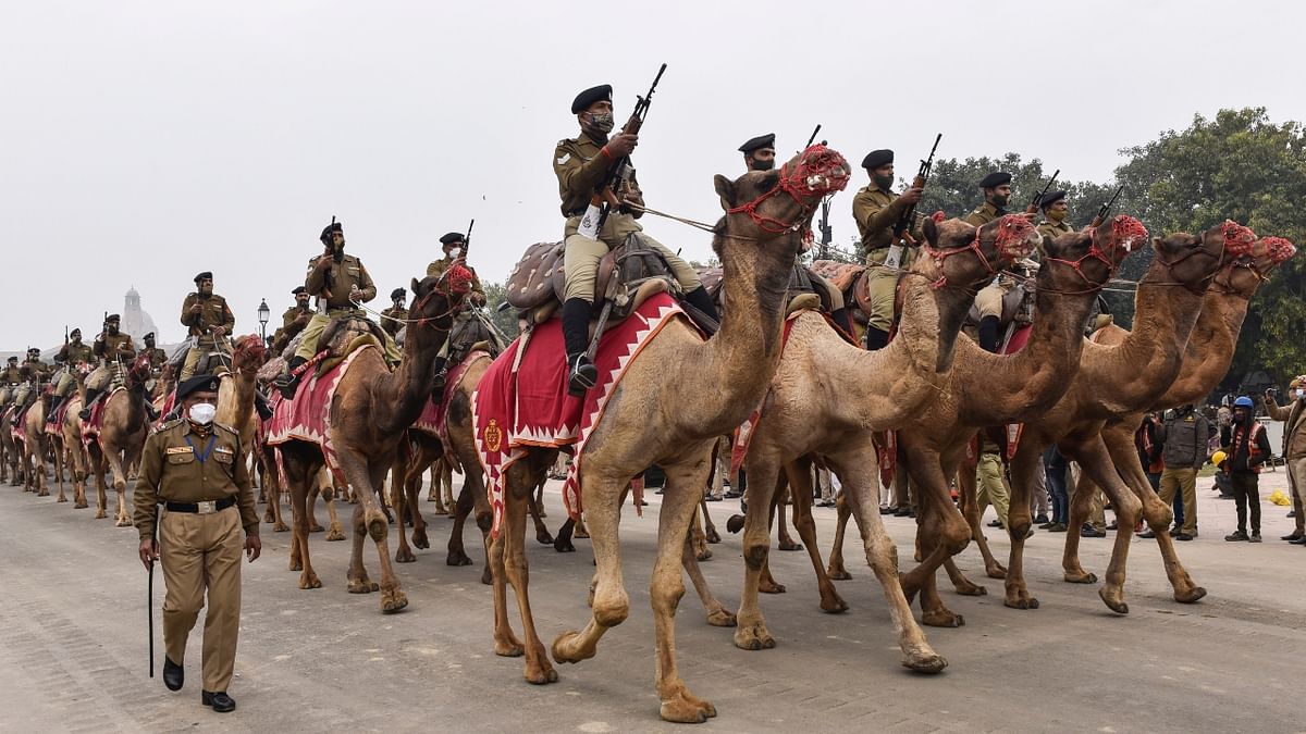 BSF Camel contingent soldiers march during the rehearsal for the upcoming Republic Day Parade at Rajpath in Delhi. Credit: PTI Photo