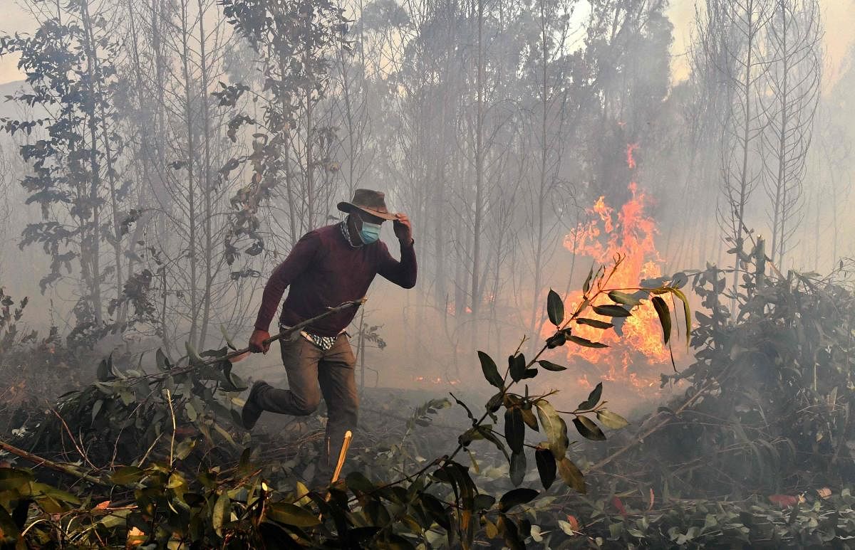 A peasant leaves a bushfire in Guatavita, near Bogota, on January 22 2022. - The bushfire has destroyed dozen of hectares of native vegetation and is out of control according to local authorities. Credit: AFP Photo