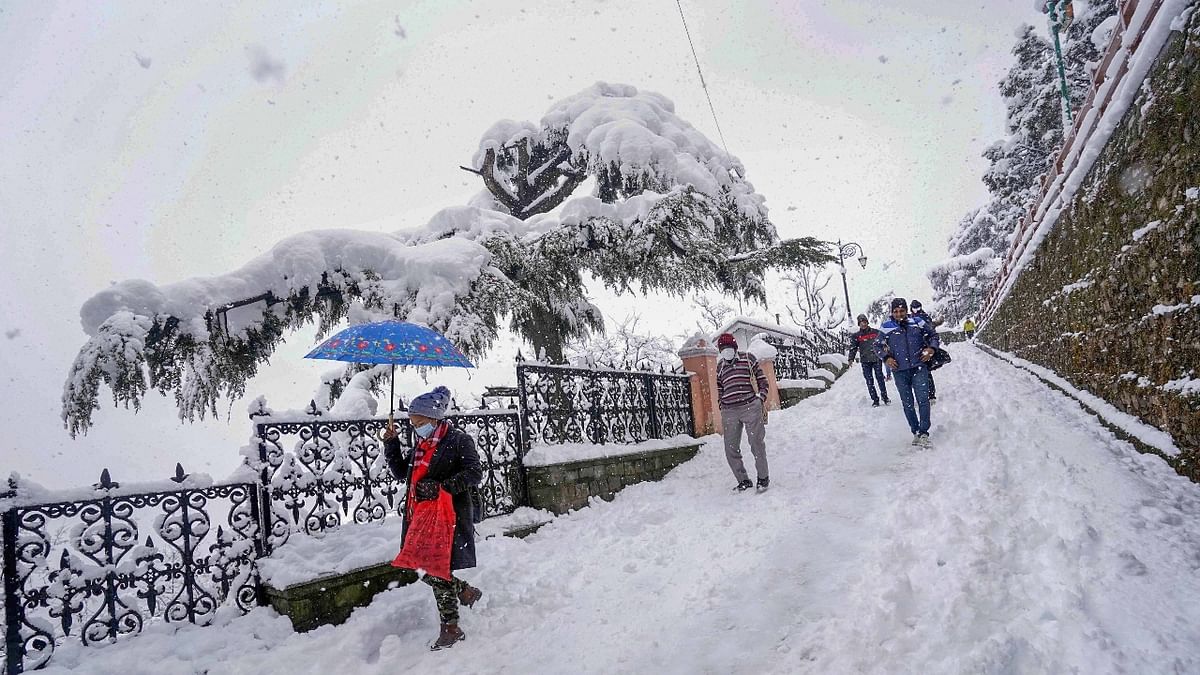 Shimla, the Queen of Hills, witnessed the season's heaviest snowfall on January 23, 2022, disrupting the daily life. While tourists made merry by hurling snowballs at one another, the locals faced power and water shortage. Credit: PTI Photo