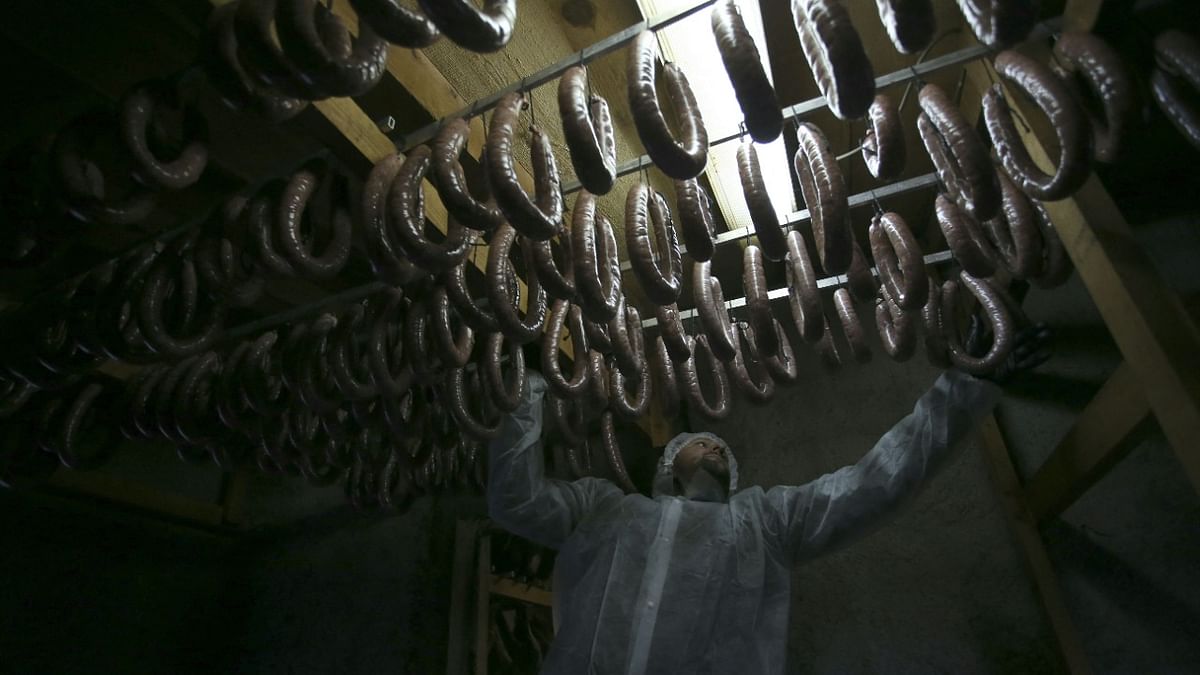 Traditional meat producer Sebastien Poggioli-Mariani hangs corsican sausage figatelli made with his Corsican pigs
