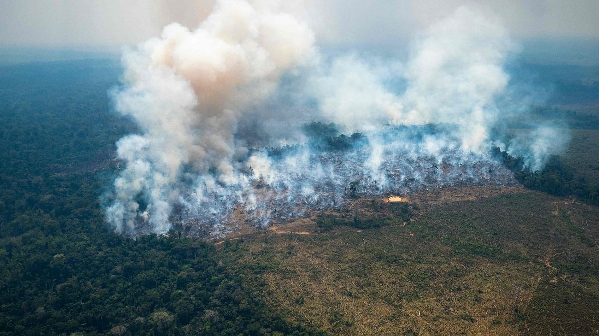The first month of 2022 was the hottest for the Colombian Amazon in the last decade, leading to an increase in forest fires in the southeastern region and very likely impacting air quality in the capital Bogota, according to an official report released to AFP on Friday. Credit: AFP Photo