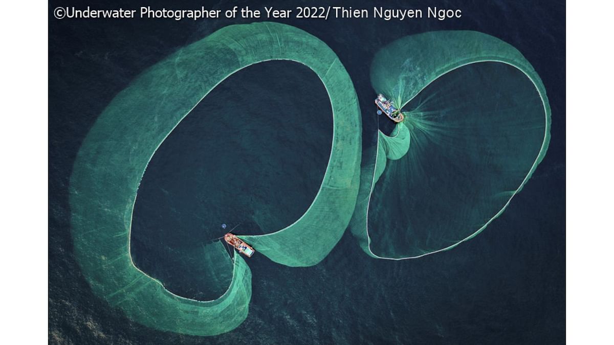 ‘Save Our Seas Foundation’ Marine Conservation Photographer of the Year 2022: 'Season of anchovy fishery'. Credit: Underwater Photographer of the Year 2022/Thien Nguyen Ngoc