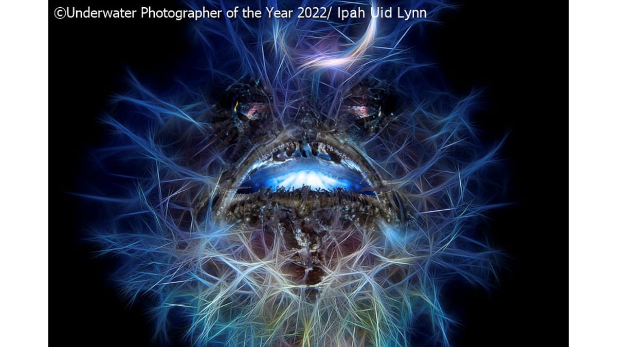 UPY Macro Commended: 'HALLOWEEN'. Credit: Underwater Photographer of the Year 2022/Ipah Uid Lynn