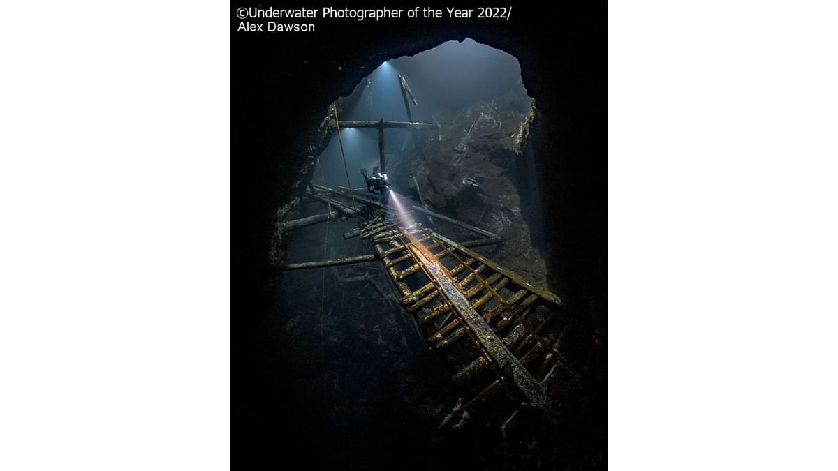 Wide Angle Highly Commended: 'Bear Bridge'. Credit: Underwater Photographer of the Year 2022/Alex Dawson