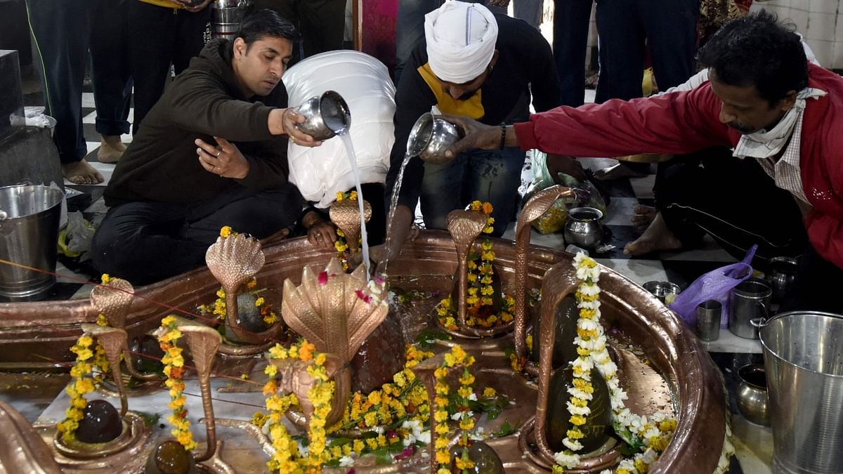 Devotees offer water and milk to Lord Shiva on the eve of the Maha Shivratri in Amritsar. Credit: AFP Photo