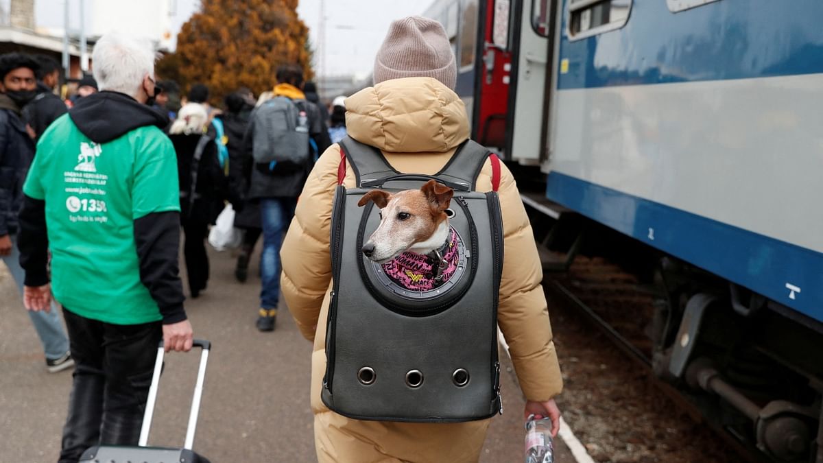 A person fleeing Russia's invasion of Ukraine carries a dog in a backpack to board a train in Zahony, Hungary. Credit: Reuters Photo