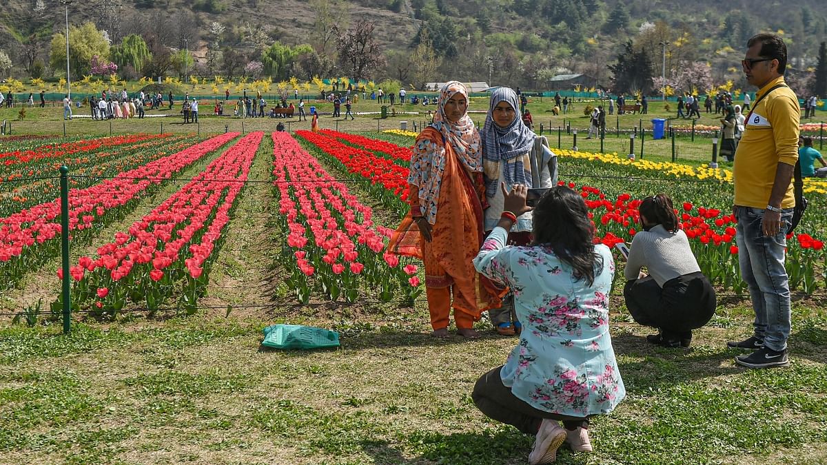 Tourists click photos at Asia's largest tulip garden on the foothills of Zabarwan Mountains overlooking Dal Lake, in Srinagar. Credit: PTI Photo