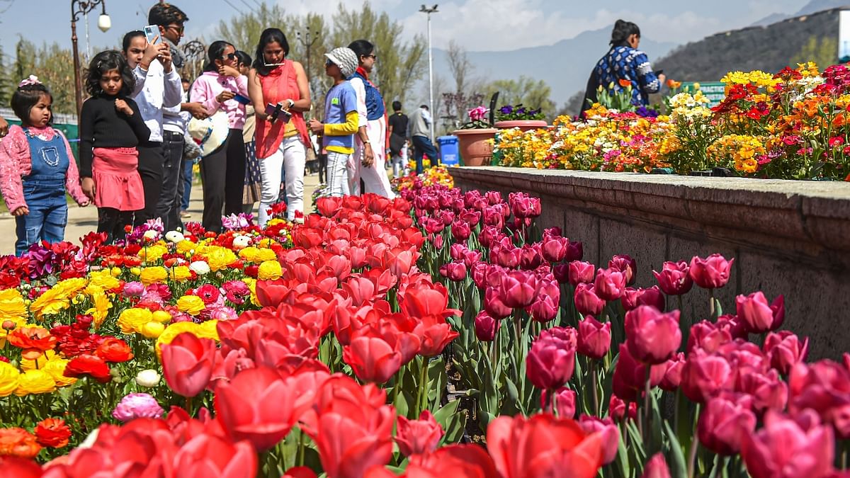 The garden was opened to the public by J&K chief secretary Arun Kumar Mehta. Credit: PTI Photo