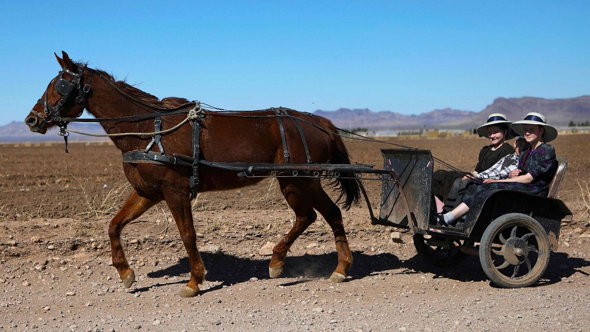 Mennonite women ride a cart at the Mennonite village of Sabinal in Chihuahua state, Mexico. The Mennonite community debates between those who keep their ancient traditions and those who embrace modernity. Credit: AFP Photo