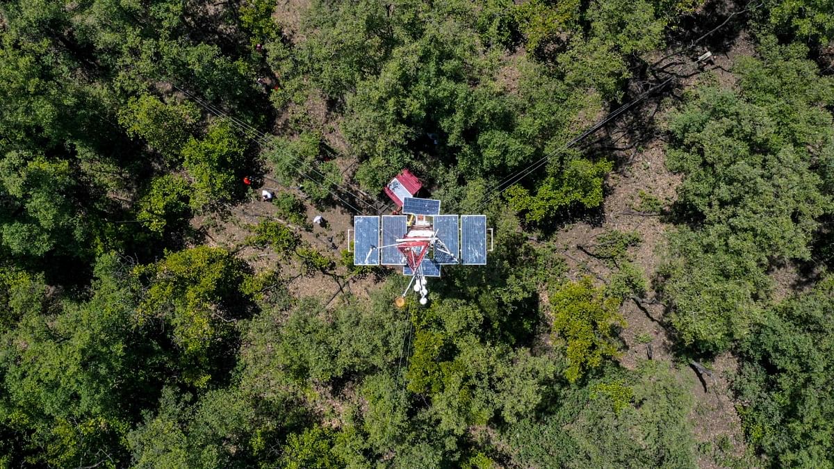Aerial view of an antenna that measures humidity and carbon dioxide gas indexes at the Juan Diaz mangrove, in Panama City. Credit: AFP Photo