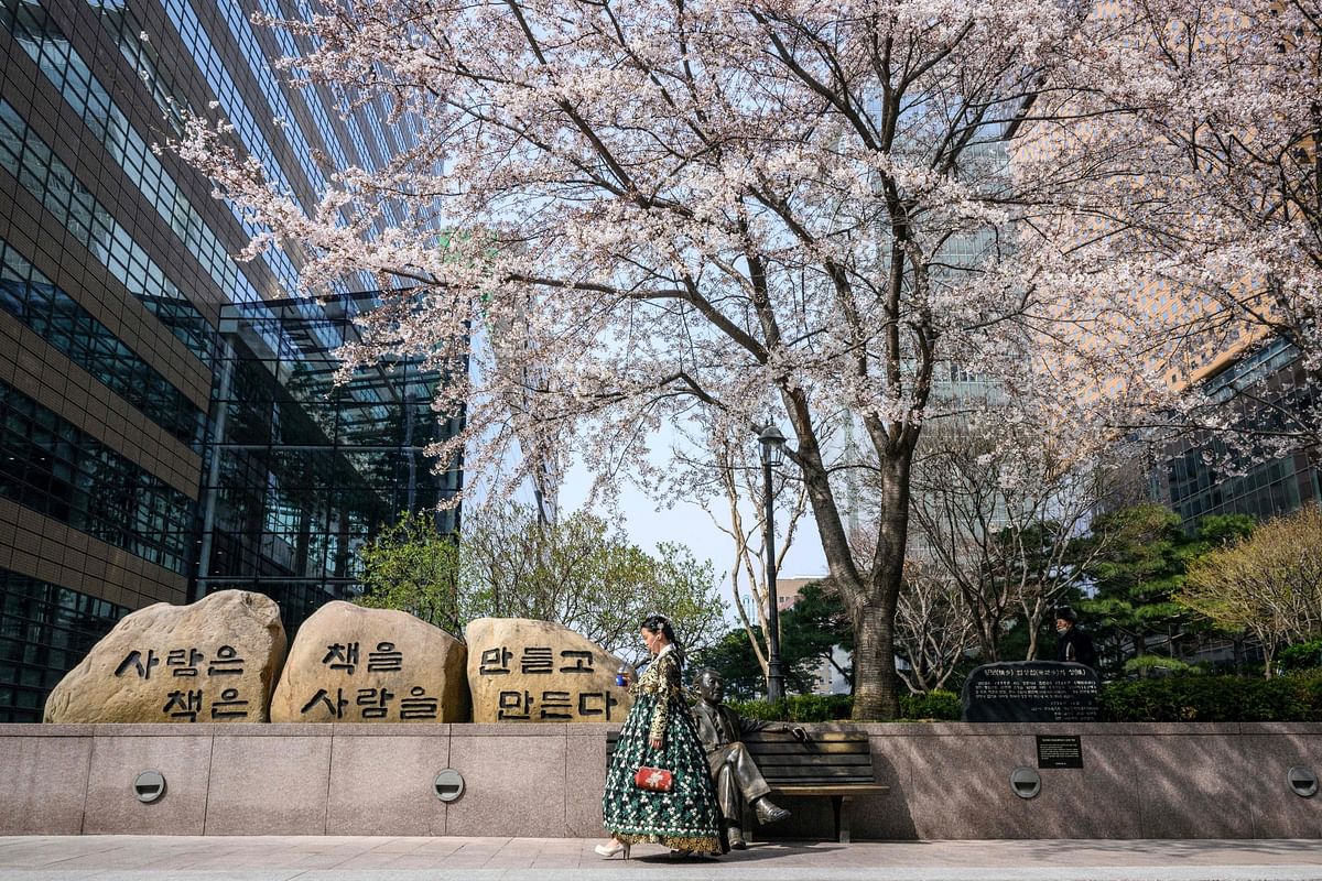 A woman wearing traditional hanbok dress walks under a blossoming cherry tree in Seoul. Credit: AFP Photo