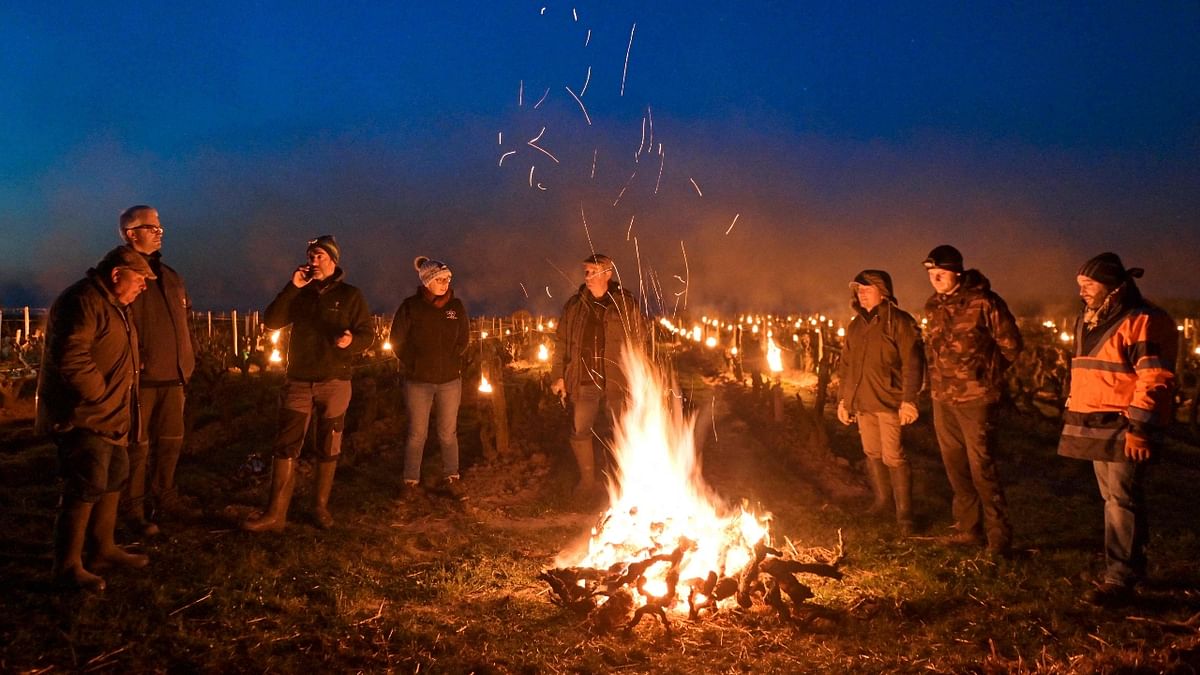 These weather conditions had prompted producers to try creative methods to protect vineyards and orchards with anti-frost systems. Credit: AFP Photo