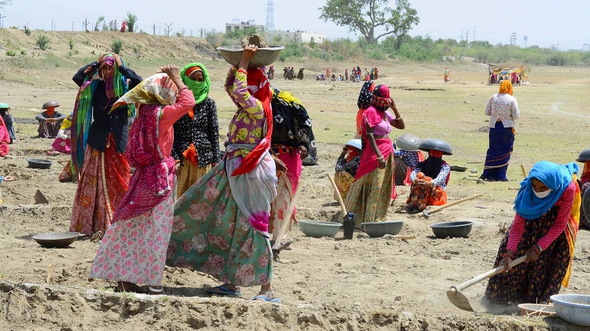 Gujarat: The ongoing spell of the heatwave is likely to intensify with mercury levels crossing 40 degrees Celsius in the coming weeks. The Met department said the heatwave conditions are likely to stay in Ahmedabad, Amreli, Banaskantha, Gandhinagar, Kutch, Patan, Porbandar, Rajkot and Surendranagar and there is no relief in sight for at least a week. Credit: PTI Photo
