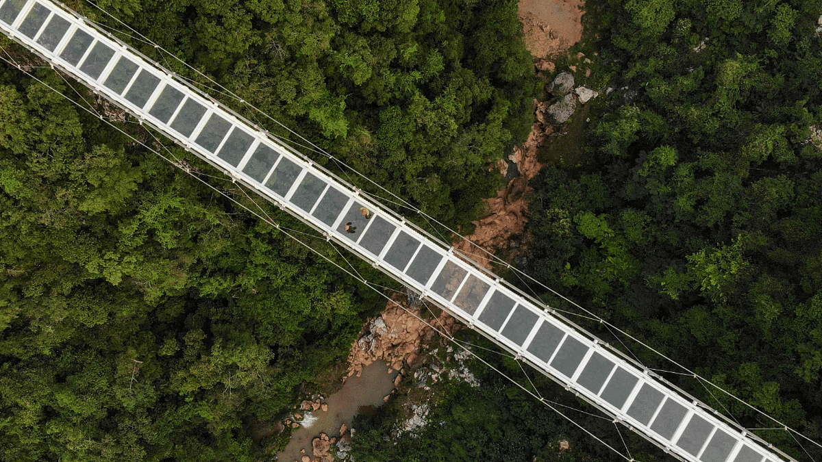 The newly constructed Bach Long glass bridge in Moc Chau district in Vietnam's Son La province. Credit: AFP Photo