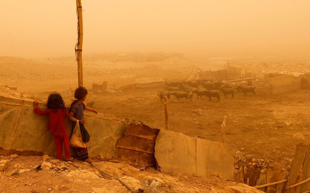 Children look at buffaloes during a sandstorm in eastern Baghdad's al-Futheliyah district, Iraq. Credit: Reuters Photo