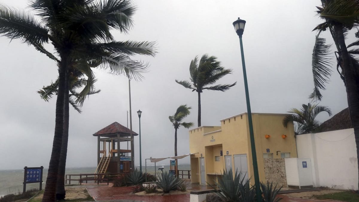 Palm trees blow in the wind before Hurricane Agatha makes landfall in Huatulco, Oaxaca State, Mexico. Credit: AFP Photo