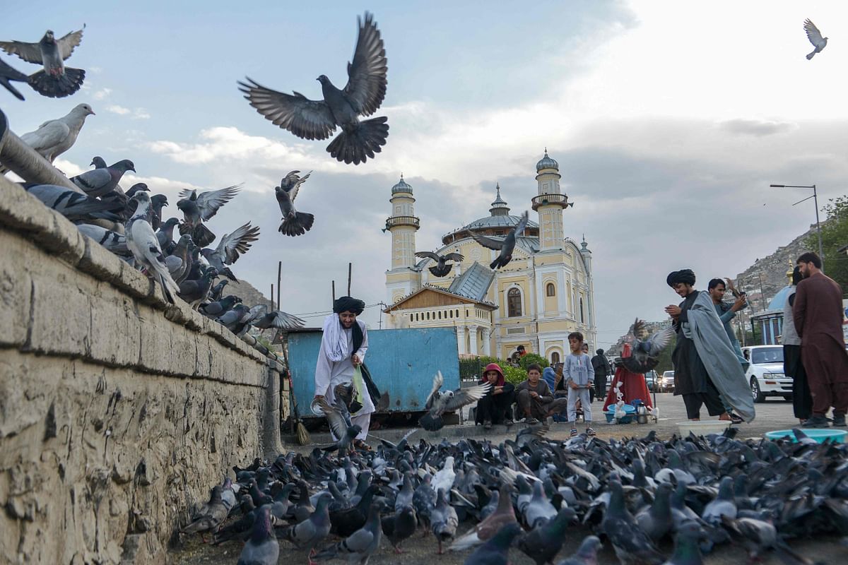 Afghan men feed pigeons in front of the Shah-Do Shamshira mosque in Kabul. Credit: AFP Photo