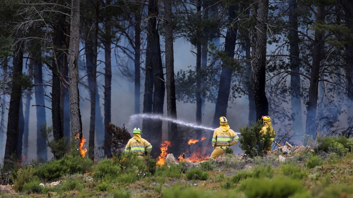 Military firefighting units have been deployed in Zamora, Navarra and Lleida. Credit: Reuters Photo