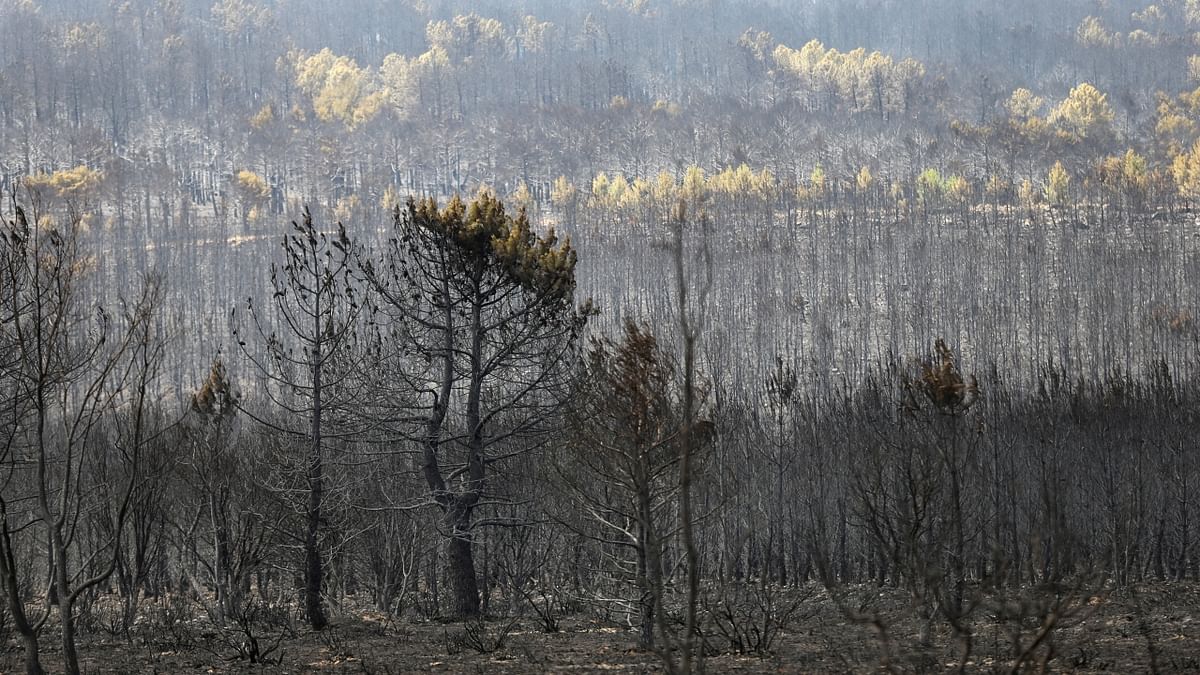 An out-of-control wildfire continues to rage in northwest Spain, destroying more than 25,000 hectares of land amid an intense heatwave, the regional government said. Credit: Reuters Photo