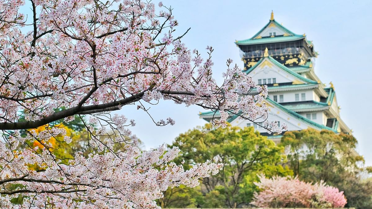 Japan's Osaka and Australia's Melbourne shared the tenth place. Credit: Pexels/Bagus Pangestu