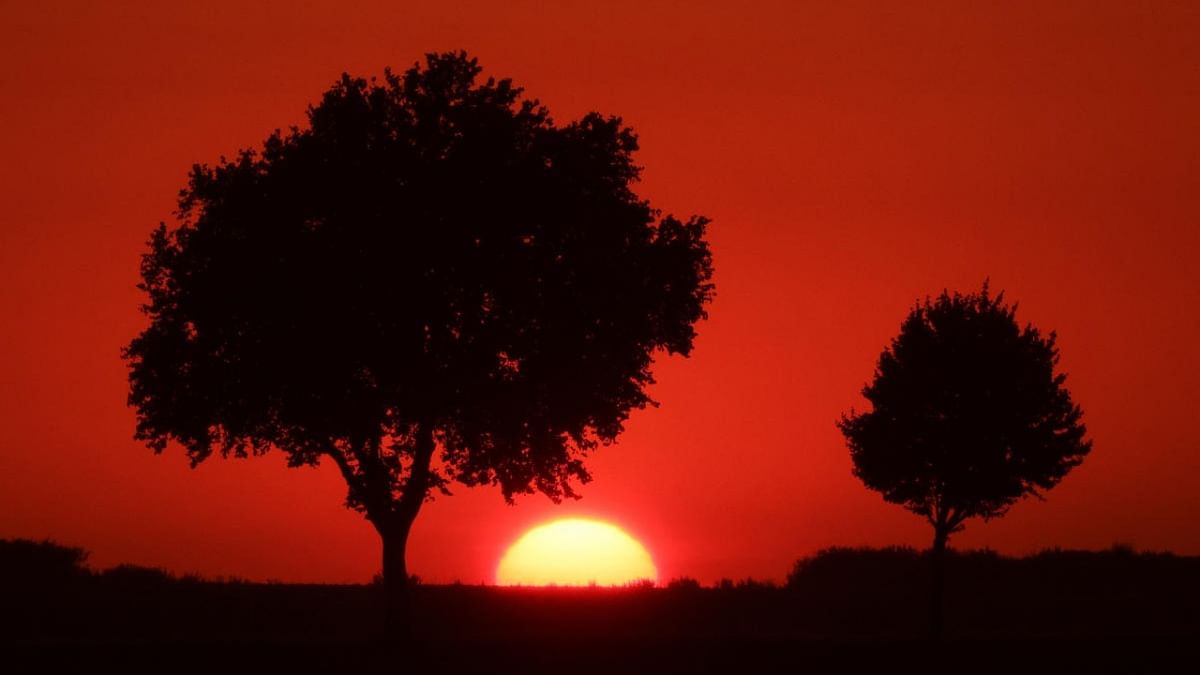 Trees are silhouetted during sunset at a wind park in Saint-Leger, France. Credit: AFP Photo