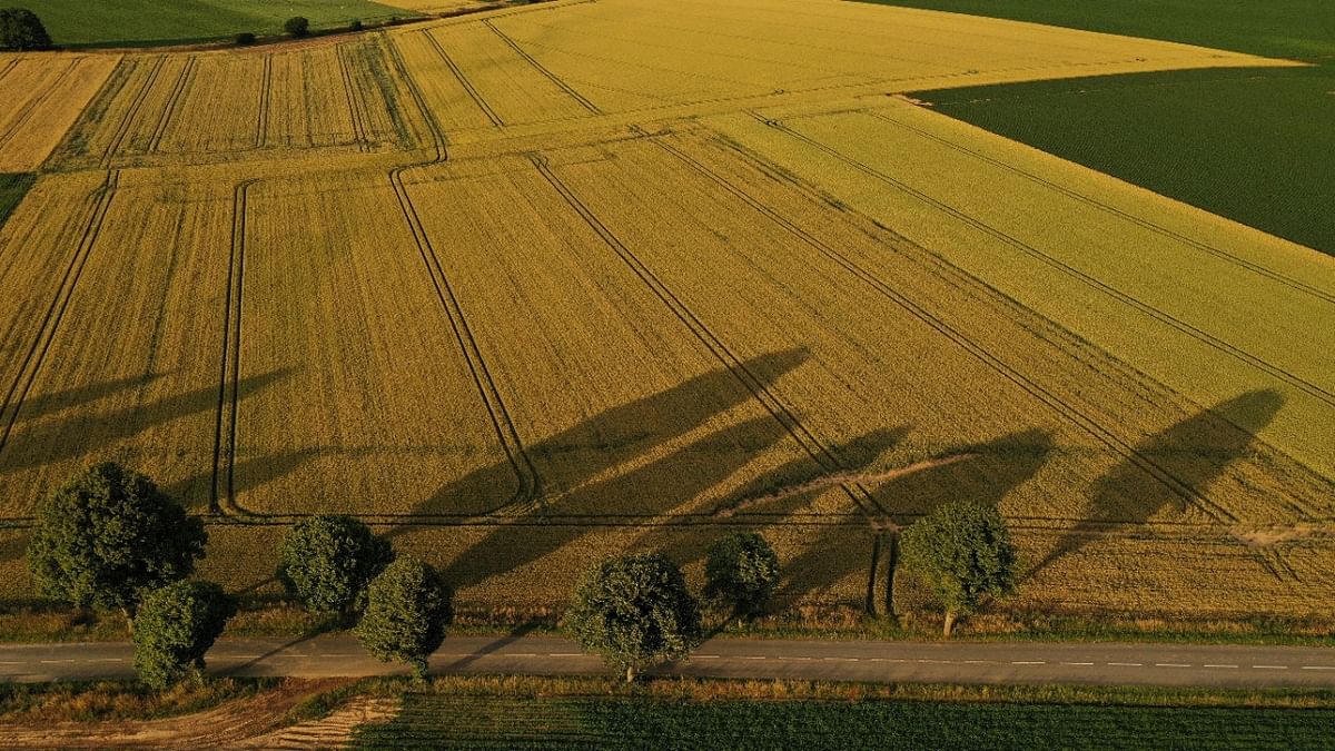 Fields of crops are seen during sunset in a field in Vaulx-Vraucourt, France, June 23, 2022. Picture taken with a drone. Credit: Reuters photo