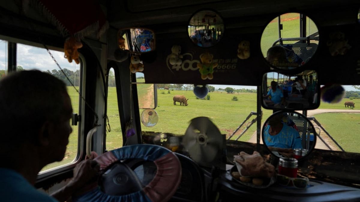 White rhinoceros are seen from inside a bus at the National Zoo in Havana, Cuba. Credit: Reuters photo