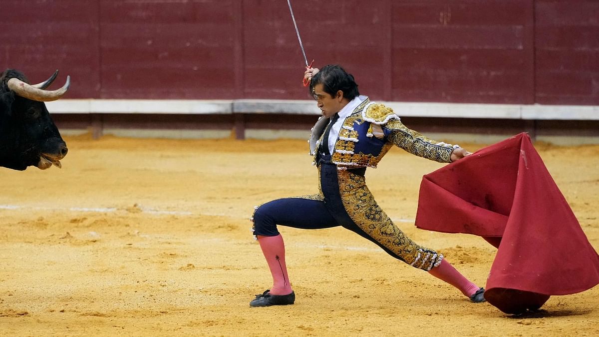 Mexican matador Joselito Adame stands in front of a bull during a bullfight at the Coliseum bullring in Burgos. Credit: AFP Photo
