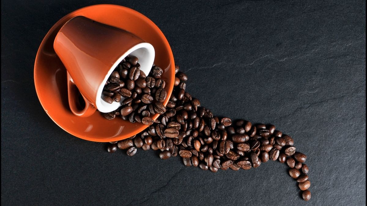 More than two-thirds of the respondents in India (69%) don’t know where coffee was planted in India the first time when it was first brought to India. Credit: DH Photo