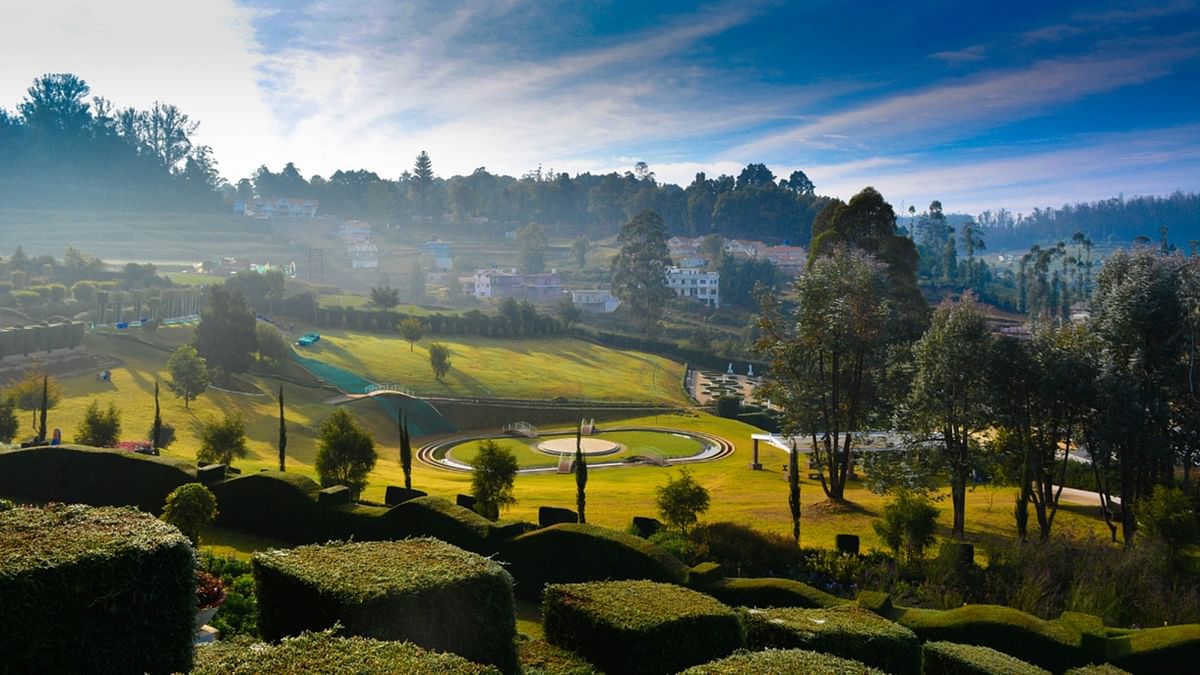 Fourteen per cent of respondents don’t know that Ooty is also associated with tea. Credit: DH Photo