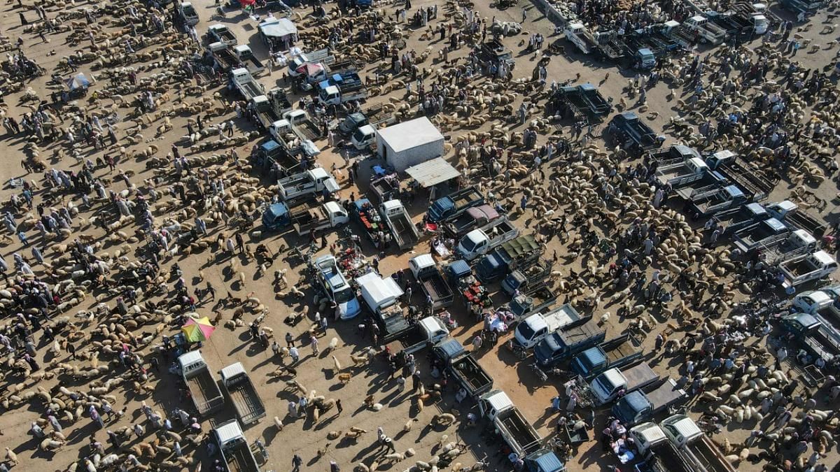 An aerial picture taken by drone shows a livestock market on the outskirts of the rebel-held town of Dana, in the northwestern Idlib province near the Turkish-Syrian border on July 4, 2022, head of the Muslim holiday of Eid al-Adha. Credit: AFP Photo