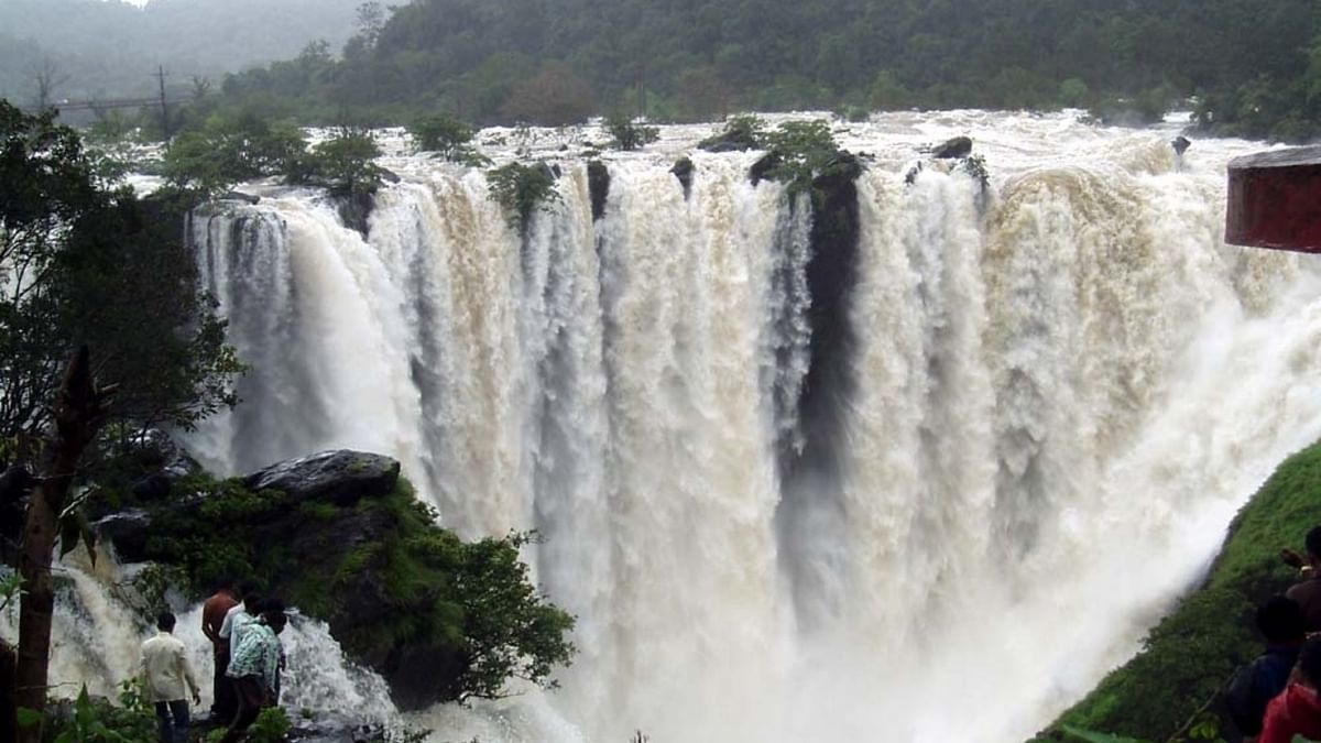 Karnataka is blessed with abundant natural beauty. The confluence of green hills and sparkling rivers has resulted in a number of waterfalls in the state. From Iruppu Falls, Jog Falls, Shivanasamudra Falls, Hebbe Falls to Abbey Falls, Karnataka is known to harbour over 30 waterfalls. Credit: DH Photo