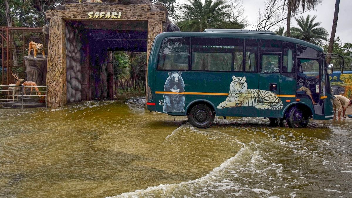 Hyderabad: Waterlogging at Safari Park of Nehru Zoological Park following monsoon rains. Credit: PTI Photo