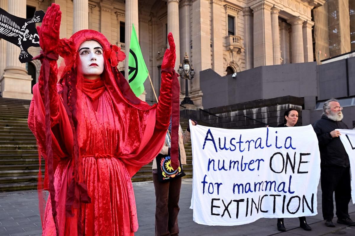Extinction Rebellion members protest outside the State Parliament of Victoria in Melbourne. Australia's unique wildlife is in retreat as it reels from bushfires, drought, human activity and global warming, according to a