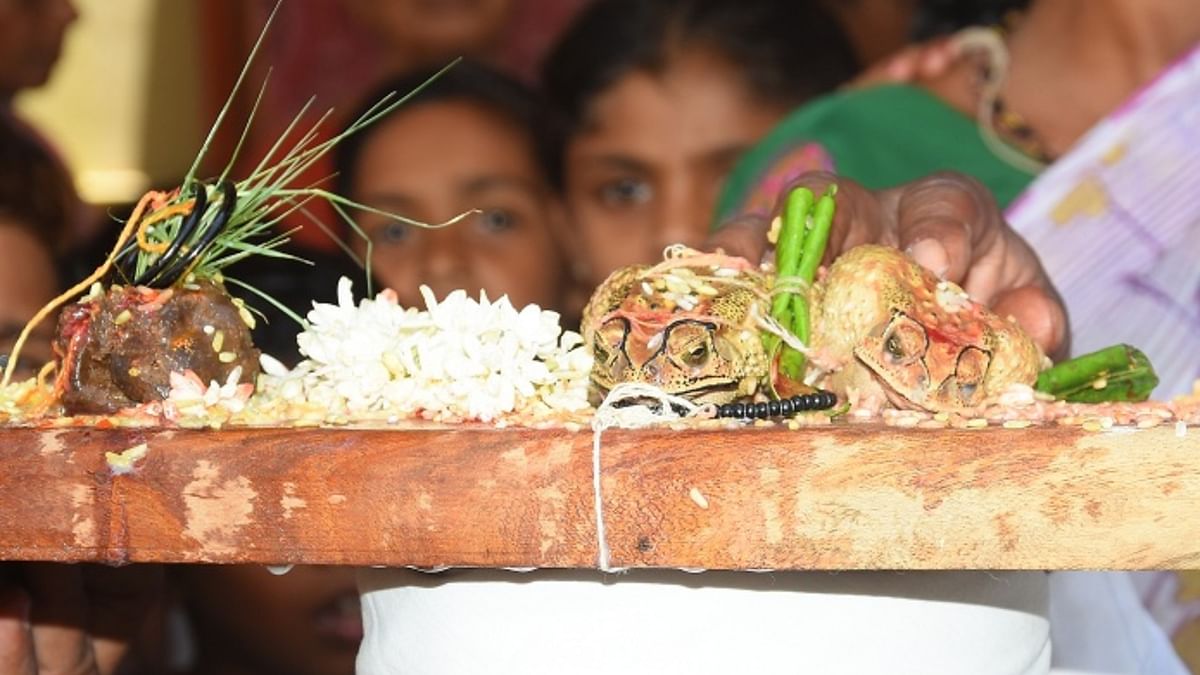 Kappathalli: The Kappathalli dance is performed in parts of Andhra Pradesh to appease the rain god. People perform a folk dance where two men shoulder a pole with a frog tied in the middle. Credit: DH Pool Photo