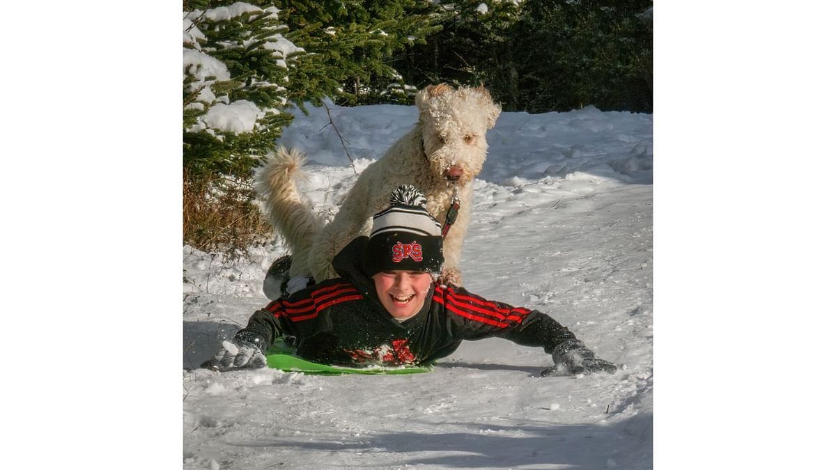 Hitching a lift! Credit: Neville Tait/Animal Friends Comedy Pets