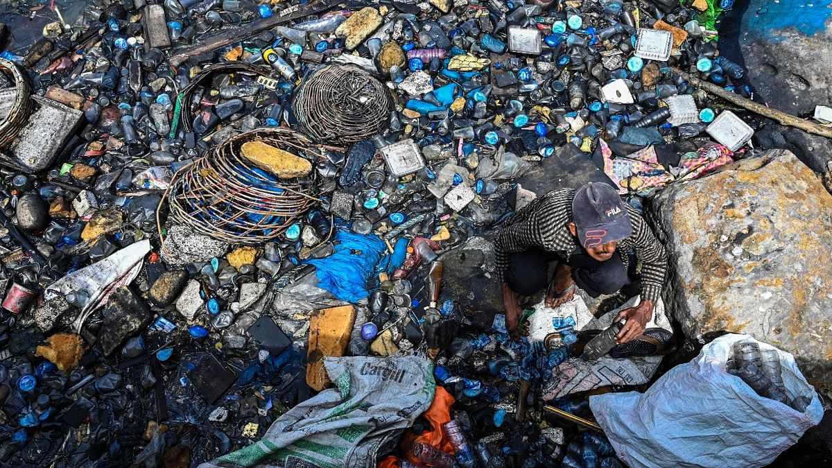 A man collects plastics in the water filled with garbages and oily wastes in Banda Aceh port. Credit: AFP Photo