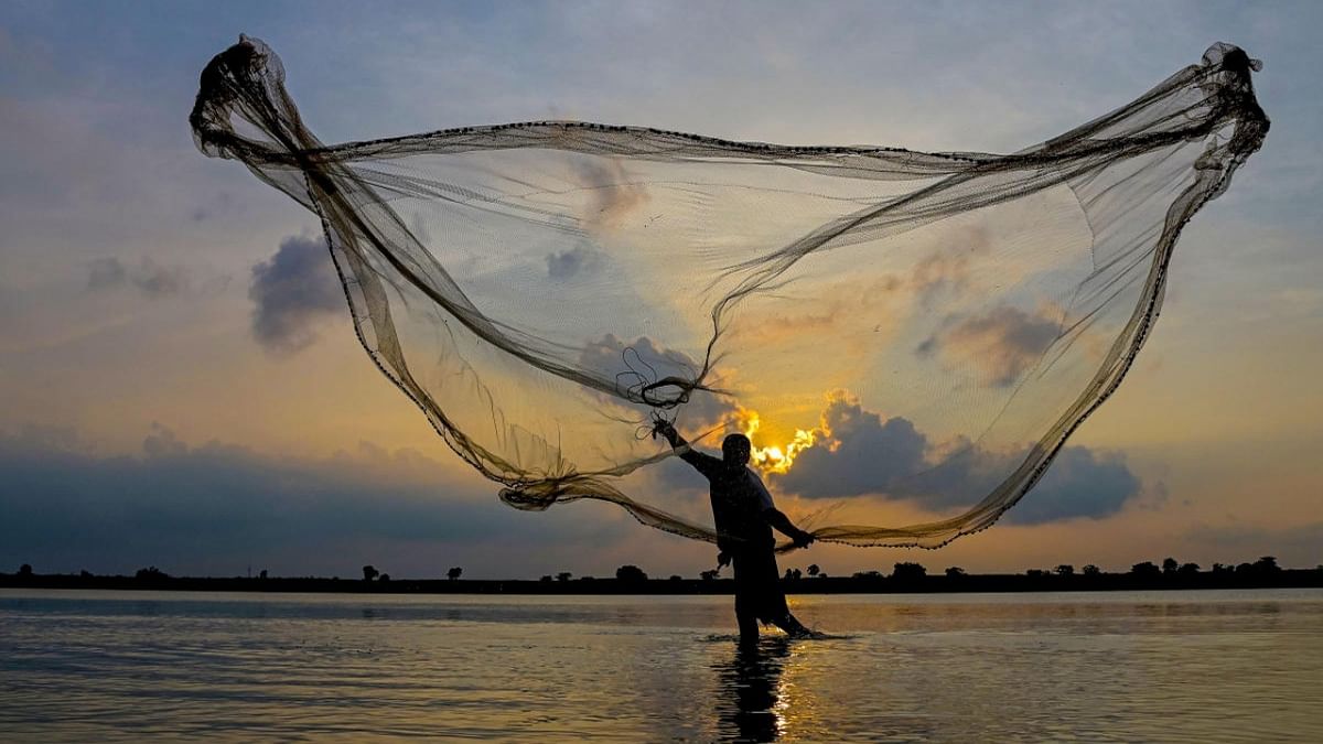 A fisherman spreads his net on the Hooghly river during sunset in Nadia district, Wednesday, August 3, 2022. Credit: PTI Photo